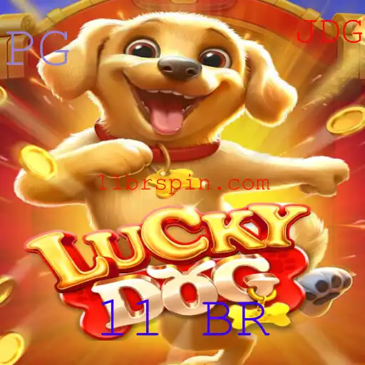 Explorando LuckyDog 11 BR: A Diversão está ao Alcance